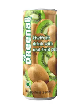 Dreena Fruit Drink With Pulp Kiwi pack