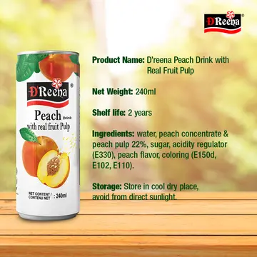 Dreena Fruit Drink With Pulp Peach pack
