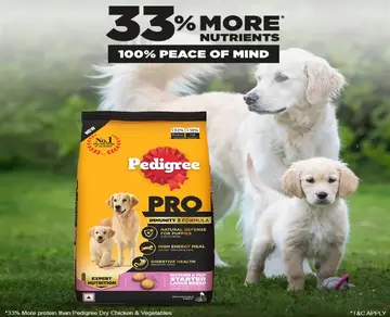 Pedigree Starter Mother & Puppy Large pack