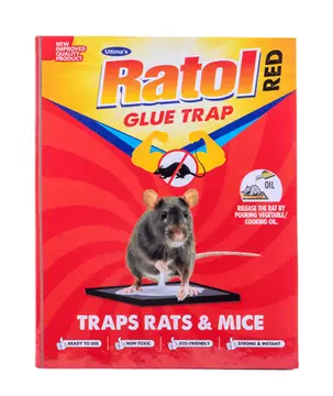 Ratol Glue Trap pack